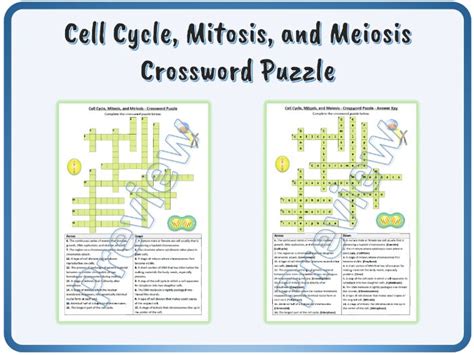 Cell Mitosis Puzzle .